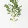 Afloral Faux Pittosporum Leaf Branch - 30.5" Artificial Plants