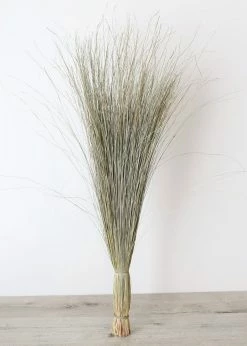 Afloral Preserved Dune Grass - 36" Dried Flowers