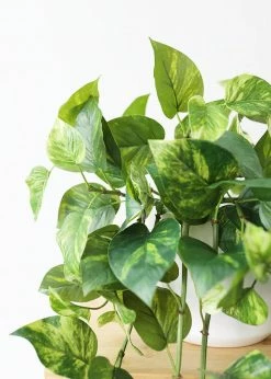 Afloral Artificial Plants Natural Touch Pothos Artificial Plant - 48"