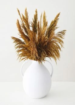 Afloral Dried Flowers Gold Dried Plume Reed Grass - 36-40