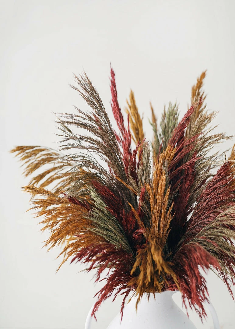 Afloral Dried Flowers Gold Dried Plume Reed Grass - 36-40"