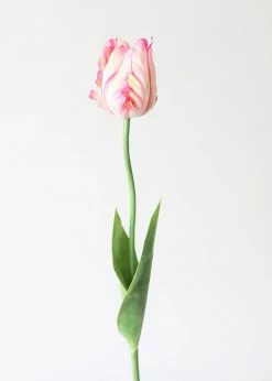 Afloral Tie Dye Pink Artificial Parrot Tulip - 25"
