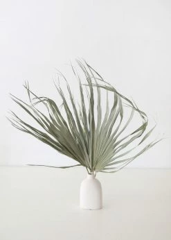 Afloral Bundle Of 5 Large Natural Fan Palms - 26-30