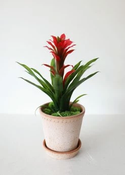 Afloral Indoor/Outdoor Tropical Bromeliad Plant - 14" Artificial Flowers