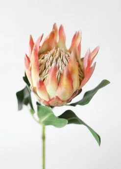 Afloral Coral Yellow Artificial King Protea - 29