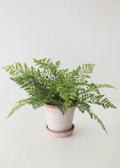 Afloral Fake Lace Fern UV Protected Real Touch Plant - 19"