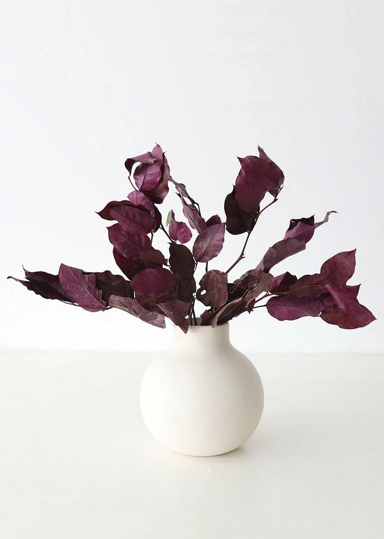 Afloral Dried Flowers Purple Preserved Salal Leaves - 12-20"