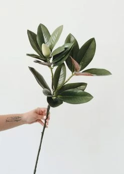 Afloral Artificial Magnolia Leaf - 34.5