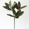 Afloral Artificial Magnolia Leaf - 34.5"