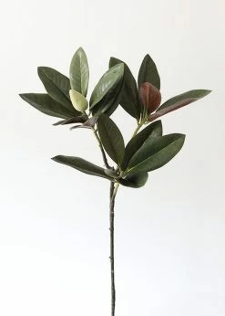 Afloral Artificial Magnolia Leaf - 34.5"