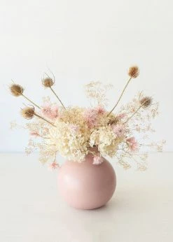 Afloral Bundle Of 10 Dried Chardon Thistles - 18-24