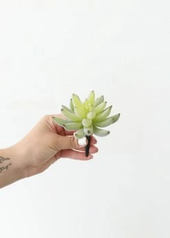 Afloral Artificial Plants Artificial Flocked Succulents Agave Cactus - 4