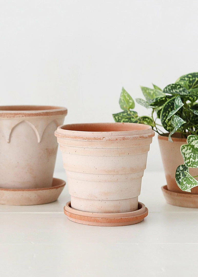 Afloral.com Bergs Pink Terra Cotta Pot With Drainage - 6"