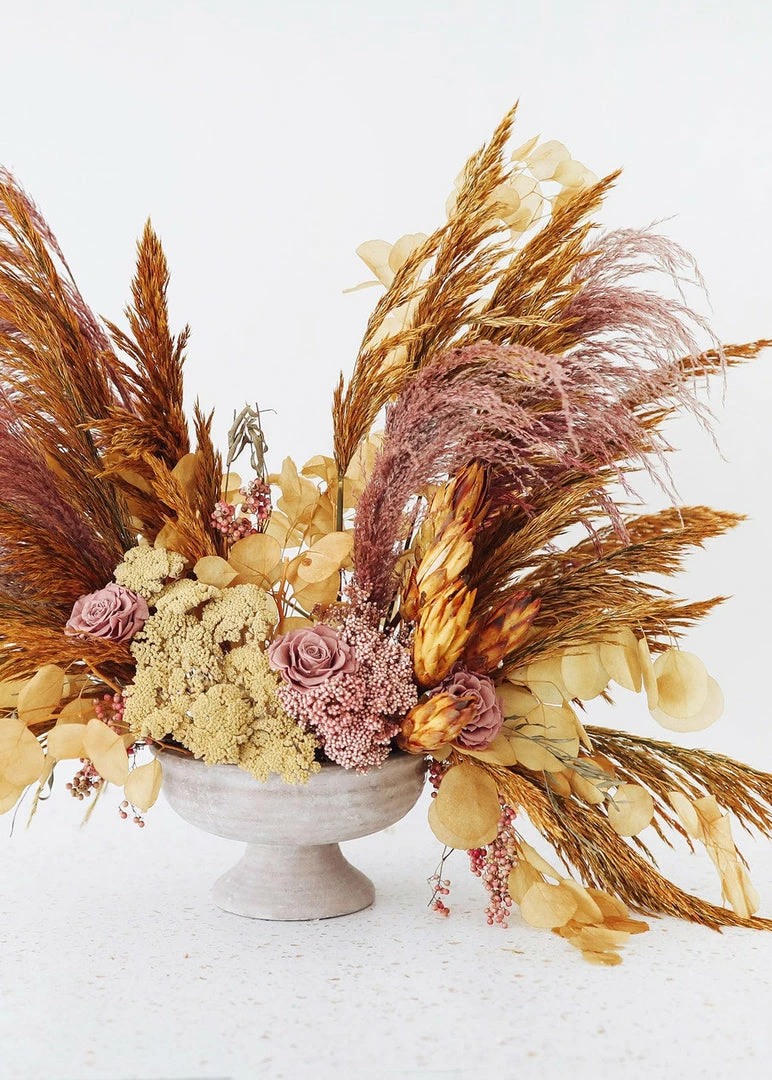 Afloral Dried Flowers Gold Dried Plume Reed Grass - 36-40"