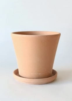 Afloral Large Terra Cotta Pot With Drainage - 9.5"