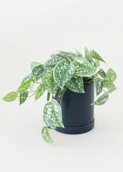 Afloral Artificial Satin Pothos House Plant - 9