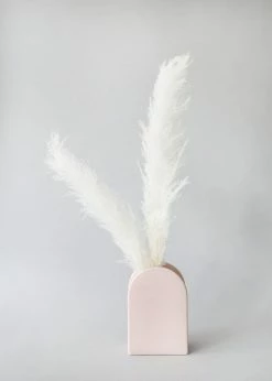 Afloral Bundle Of 3 Natural Skinny Pampas Grass - 38-42