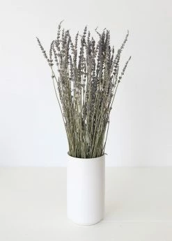 Afloral Dried Flowers Dried Lavender Wildflowers - 15-22
