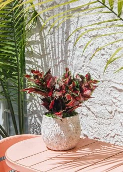 Afloral Red UV Protected Outdoor Fake Coleus Plant - 16