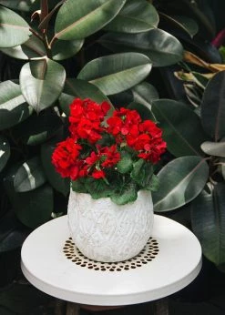 Afloral UV Protected Indoor/Outdoor Artificial Geraniums - 18