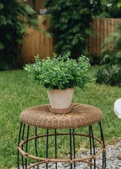 Afloral.com Bergs Julie Clay Pot With Drainage - 5