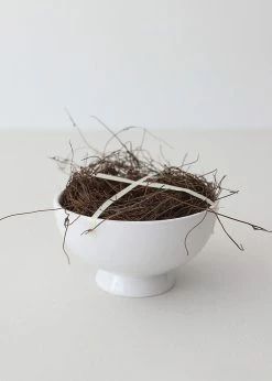 Afloral Dried Flowers Natural Dried Angel Vine For Foam-Free Floral Designs - 8 Oz