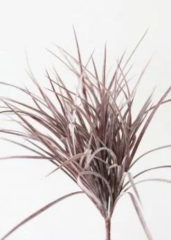 Afloral Indoor/Outdoor Grass Bush In Eggplant - 19