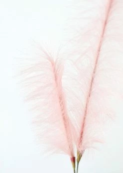 Afloral Fake Pampas Grass In Pink - 49