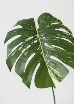 Afloral Artificial Philodendron Tropical Leaf - 23.5