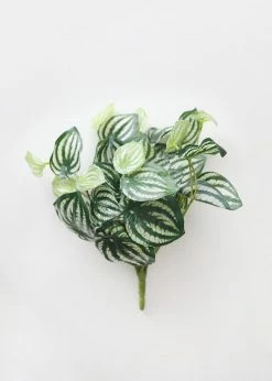 Afloral Artificial Natural Touch Watermelon Peperomia Plant - 13"