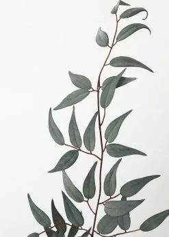 Afloral Artificial Plants Artificial Italian Ruscus Leaf Branch - 36"