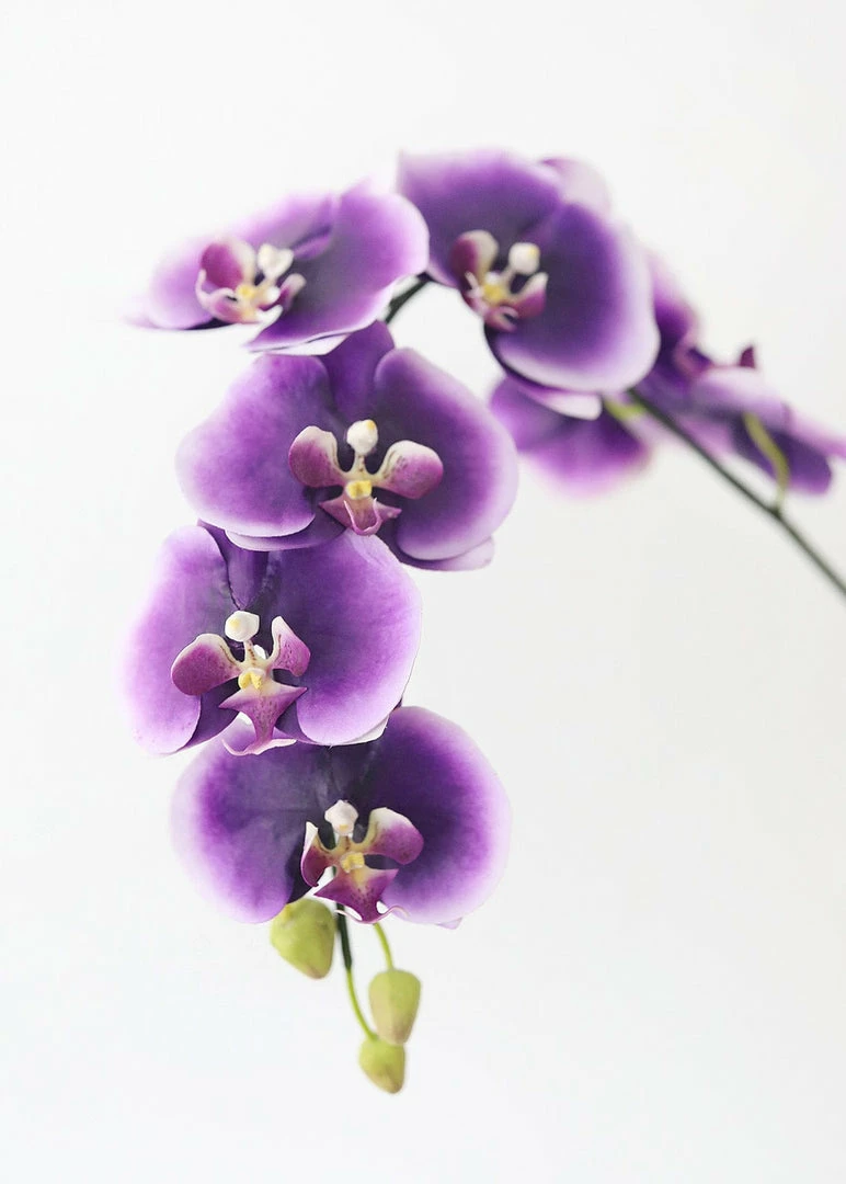 Afloral Faux Phalaenopsis Orchid In Purple - 45"