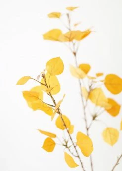 Afloral Artificial Aspen Leaf In Yellow Gold - 40" Artificial Plants