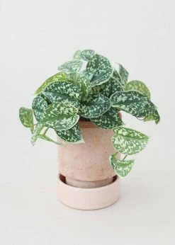 Afloral Vases Bergs Hoff Clay Pot With Drainage - 6.75"