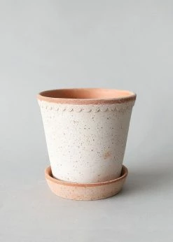 Afloral.com Bergs Handmade Clay Pot With Drainage - 6.5"