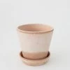 Afloral.com Bergs Julie Clay Pot With Drainage - 5"