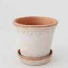 Afloral.com Bergs Pink Washed Clay Pot With Drainage - 6" Vases