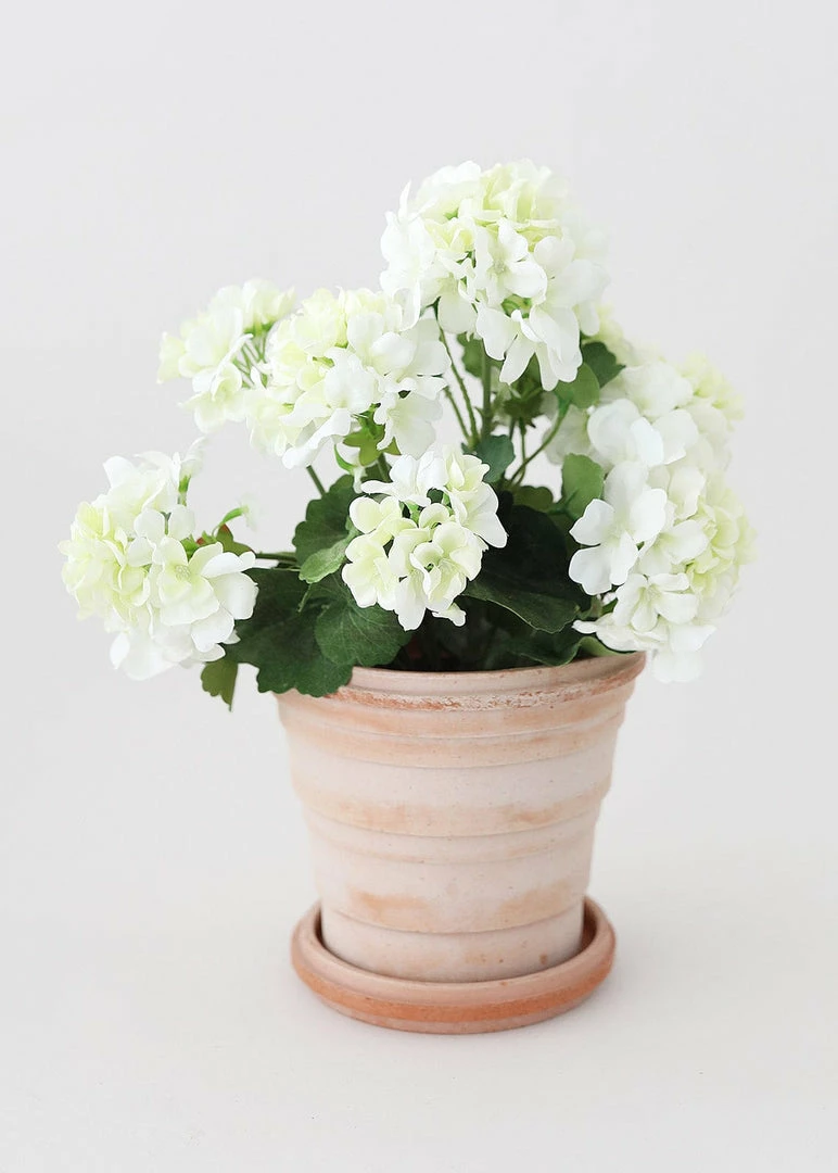 Afloral.com Bergs Pink Terra Cotta Pot With Drainage - 6"