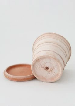 Afloral.com Bergs Pink Terra Cotta Pot With Drainage - 6