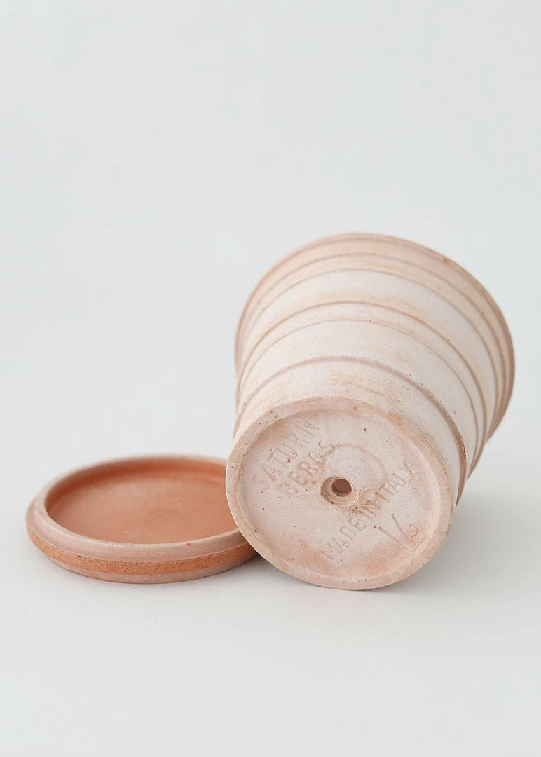Afloral.com Bergs Pink Terra Cotta Pot With Drainage - 6"
