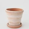 Afloral.com Bergs Pink Terra Cotta Pot With Drainage - 6"
