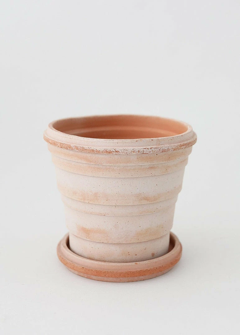 Afloral.com Bergs Pink Terra Cotta Pot With Drainage - 6"