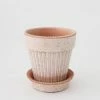 Afloral.com Vases Bergs Simona Scalloped Pot With Drainage - 6"