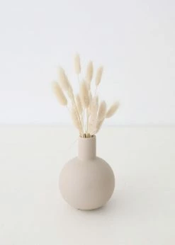 Afloral Natural Dried Bunny Tail - 18-28