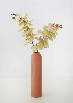 Afloral Beige Fake Phalaenopsis Orchid Flowers - 30