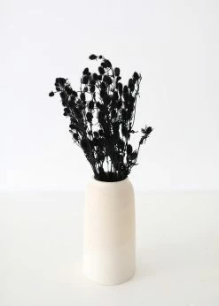 Afloral Dried Flowers Black Dried Eryngium Sea Holly Flowers - 15-22