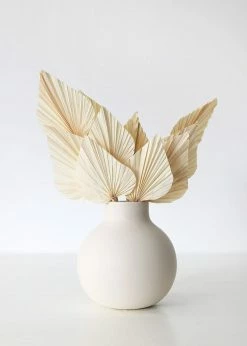 Afloral Dried Flowers Bundle Of 10 Bleached Dried Palm Spears - 14-20