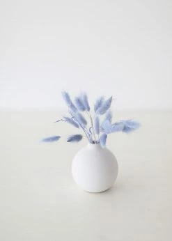Afloral Light Blue Dried Bunny Tails - 18-28