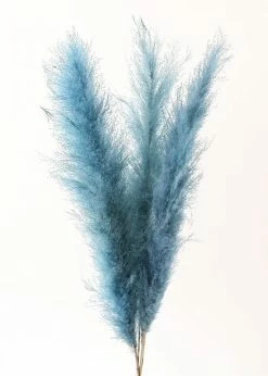 Afloral Dried Flowers Bundle Of 3 Blue Dried Pampas Grass - 40-48"