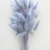 Afloral Light Blue Dried Bunny Tails - 18-28" Dried Flowers